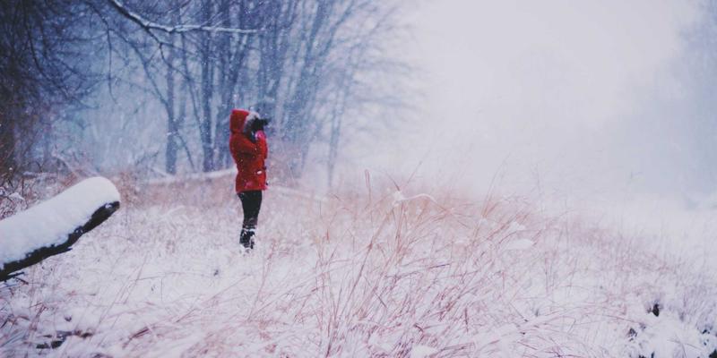 广州汽车旅游26：解锁珠三角自驾新玩法，这份深度攻略请收好