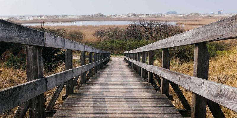 广州汽车旅游28:解锁珠三角自驾游终极指南,这4条宝藏路线让你重新定义周边游