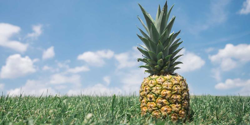 广州汽车旅游保险购买全攻略：聪明选择，安心畅游