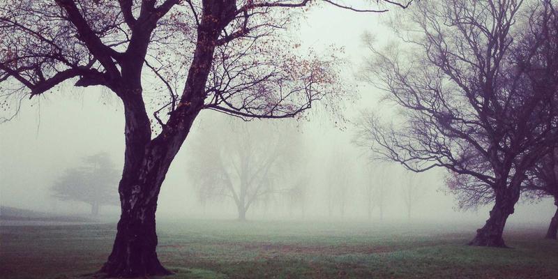 广州汽车旅游:解锁南沙湿地与百万葵园,滨海自驾一日悠闲之旅