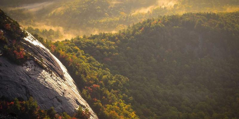 广州租车自驾游全攻略：解锁自由行新姿势，车型价格避坑指南