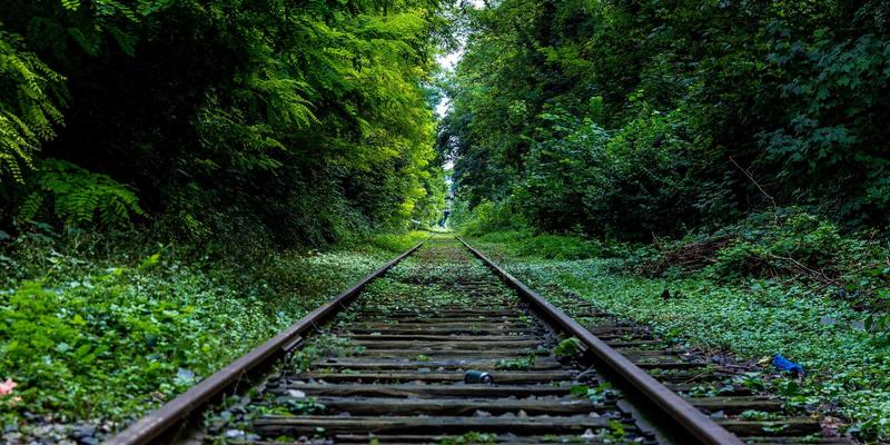 解锁广州周边游新姿势：35条绝美汽车旅游路线全攻略