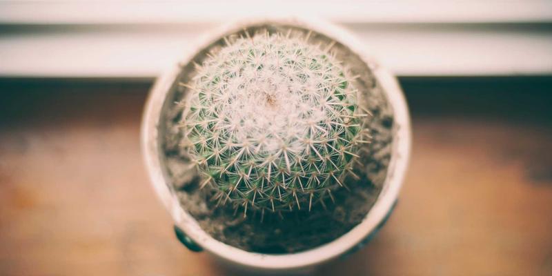 解锁羊城新玩法:广州自驾游全攻略,三条绝美路线带你发现岭南之美